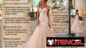 Paquete de bodas. Novia. Vestido. Trajes. Maquillaje.  Fotografía