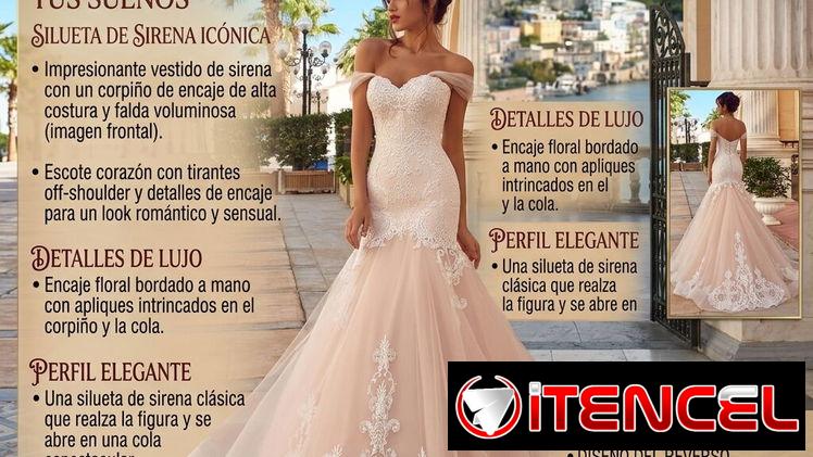 Paquete de bodas. Novia. Vestido. Trajes. Maquillaje. Fotografía — foto 1