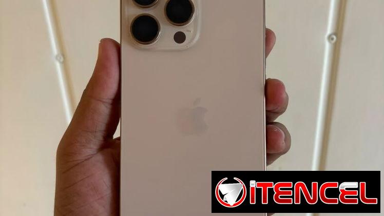 iPhone 16 Pro Max, 256 GB, trabajo eSIM hecho, 91 %. Impecable