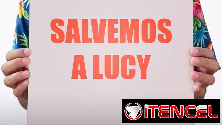 REGALA UN CUADRO ESPECTACULAR — foto 2