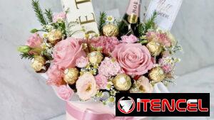Peluches y rosas eternas regalos únicos para toda ocasión