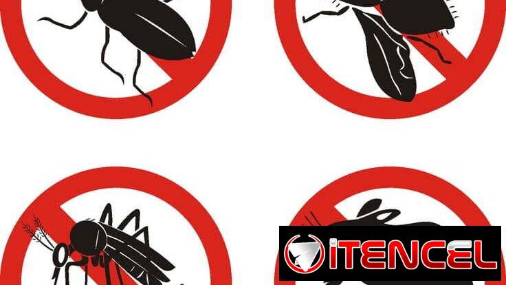 DILE ADIÓS A LAS PLAGAS: AMBIENTES SANOS Y PROTEGIDOS