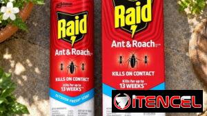 RAID PARA HORMIGA