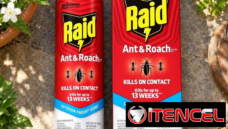 RAID PARA HORMIGA — foto 1