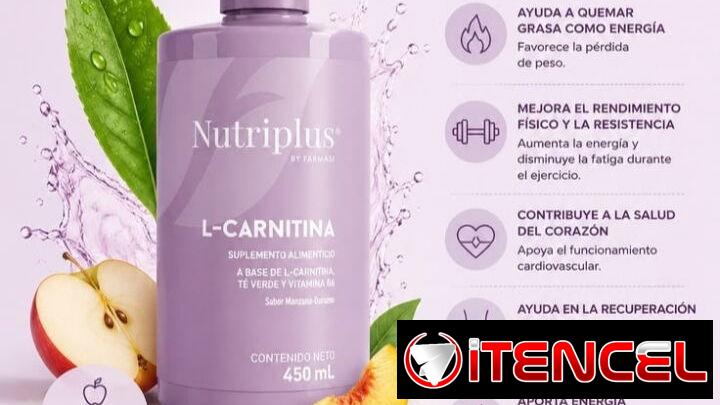 🔥L-CARNITINA 450ml🔥Té verde y Vit B6🔥Convierte la grasa en energía⚡ Recomendación 30 min antes del ejercicio💪🏻 — foto 2