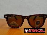 🚨 En Venta Gafas Rayban Wayfarer Carey🚨