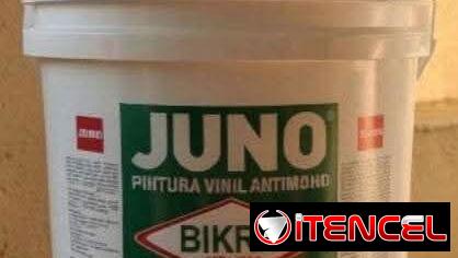 PINTURA VINIL ANTIUMEDAD
