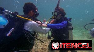 Experiencias y cursos de buceo