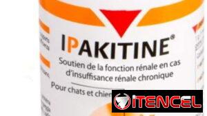 IPATIKINE 60 g