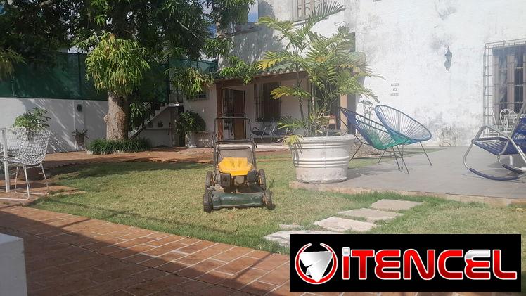 servicios de Jardinería — foto 3