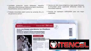 Vacunas Pentavalentes para perros, cadena de frío garantizada