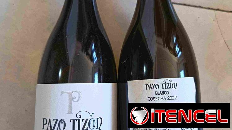 Pazo Tizón 2022 blanco España 15 USD, Vedado