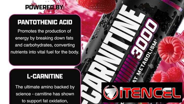 L-CARNITINA LÍQUIDA PREMIUM (NUTREX) 3000MG. — foto 4