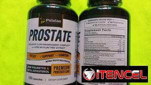 Prostate