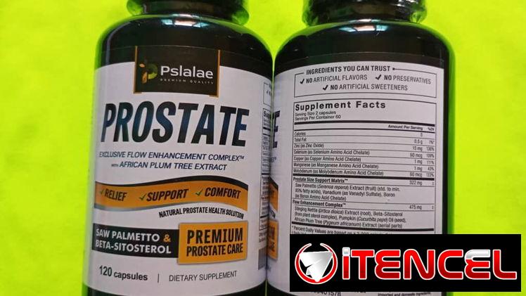 Prostate