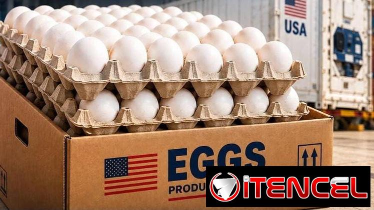 🥚 VENTA DE HUEVO POR CAJAS 🥚💰 Precio: 4.20 USD (en almacén)🔸 Compra mínima: 100 cajas