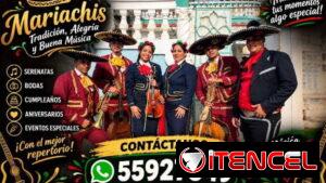 Mariachis Voces de Oro