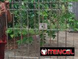 📍 Realizamos todo tipo trabajos de herrería para la seguridad de su hogar, con el diseño de su preferencia:   ▪︎Puerta