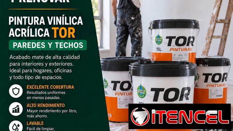 CM-PINTURA BLANCA VINIL- 15L