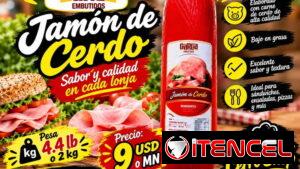 Ernesto 58057376 🥪 JAMÓN DE CERDO GARCA EMBUTIDOS — FORMATO DE 2 KG