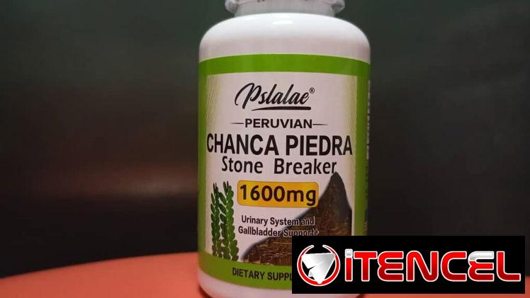 Chanca Piedra la piedra que sana