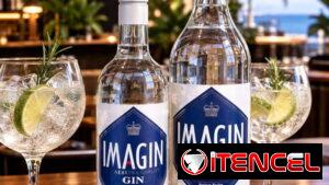 - Ginebra Imagin (1 Litro). Licores. Cremas. Ron. Whisky. Tequila. Salsa. Aperitivos.