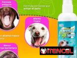 Tienda para mascotas