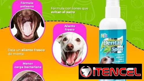 Tienda para mascotas
