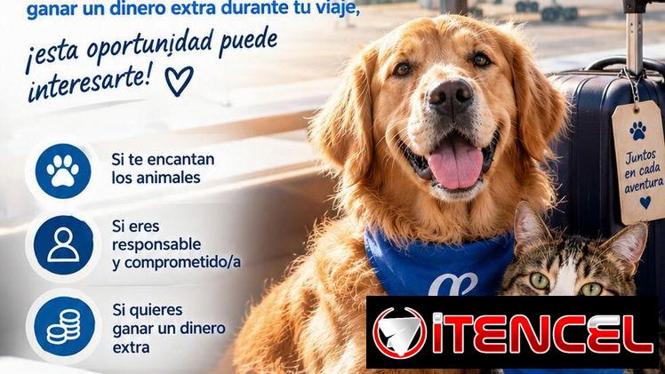 ✈️💶 ¿Viajas a España? ¡Podrías ganar un dinero extra! - Promo