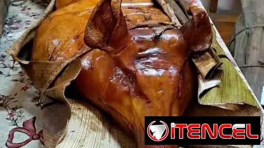 🔥 CERDO ENTERO DE 80 LB PARA 40 PERSONAS | COMIDA CRIOLLA A DOMICILIO