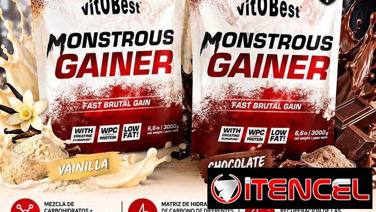 Mass Gainer Vitobest Monstrous gainer 6.6 lb 45 usd — foto 1