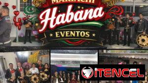 Mariachis para tus eventos 🎉 📲 Disponibles 24 horas – WhatsApp 5352669554