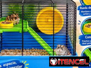 27dd5a8c856cfb6ec0807f95dc1ccd8bd100fd58a7a728c8c71ba1972fa1acae