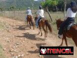 🐎🌿 EXCURSIÓN A CABALLO | CASCADA DE JAVIRA – TRINIDAD 🌿🐎