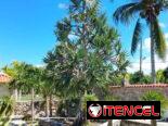Casa de Renta con Piscina en Brisas del Mar