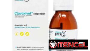 Amoxicilina y Ácido Clavulánico SUSPENSIÓN para perros y gatos
