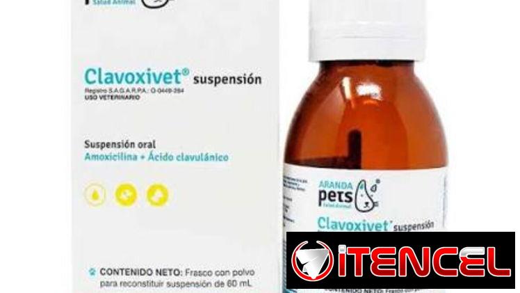 Amoxicilina y Ácido Clavulánico SUSPENSIÓN para perros y gatos