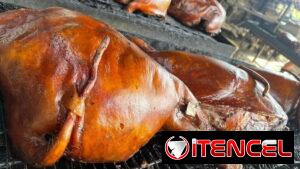 Sazón Familiar 🐽, Cerdo Asado, Comida Criolla, Comida a Domicilio