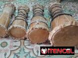 Tambores Abericola listos para estudiar o consagrar