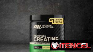 Creatina Optimum Nutrition 60 servicios