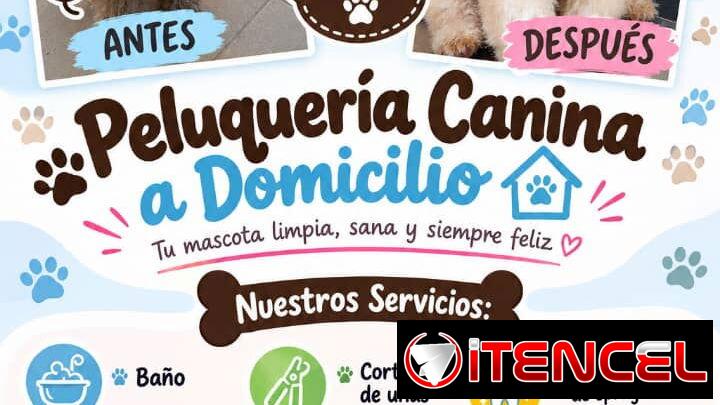 Peluqueria Canina a Domicilio