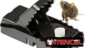 Ratoneras multiuso