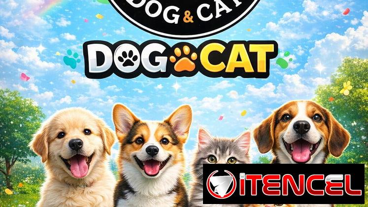 🐶🐱PIENSOS IMPORTADOS PARA PERROS Y GATOS🐶🐱 [MUCHÍSIMAS MARCAS TODOS LOS SABORES]🐾TIENDA DE MASCOTAS [🐶 DOG&CAT 🐱]