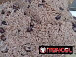 Comida criolla a domicilio