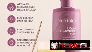 🔥L-CARNITINA 450ml🔥Té verde y Vit B6🔥Convierte la grasa en energía⚡ Recomendación 30 min antes del ejercicio💪🏻