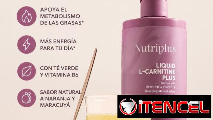 🔥L-CARNITINA 450ml🔥Té verde y Vit B6🔥Convierte la grasa en energía⚡ Recomendación 30 min antes del ejercicio💪🏻 — foto 1