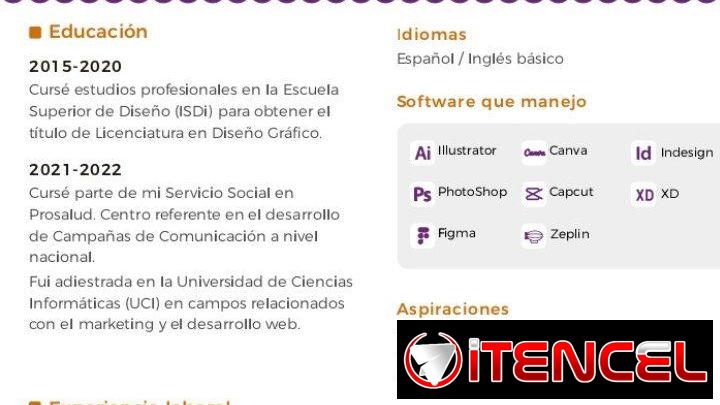 Diseñador gráfico busca trabajo a distancia