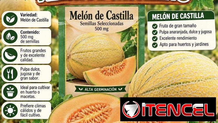 Semillas para sembrar patio y jardín 🪴