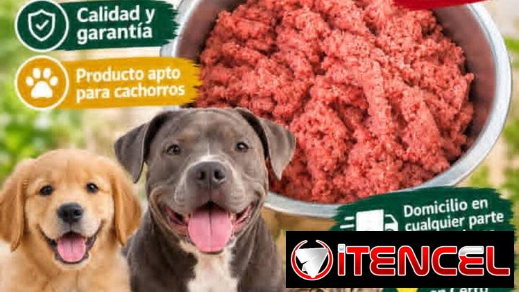 Comida para perros pollo molido