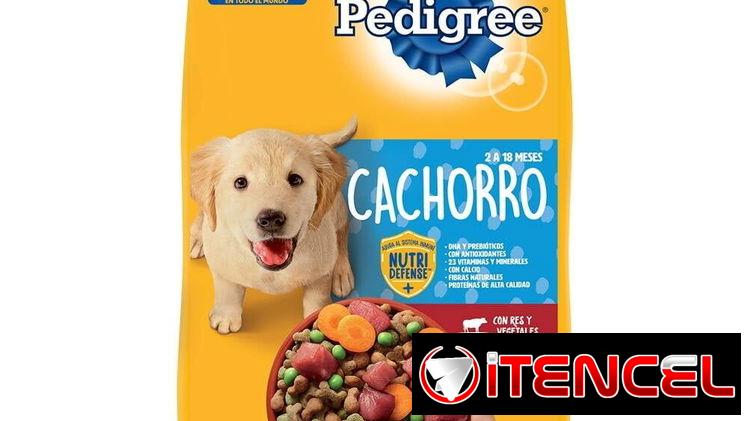 PIENSO PARA GATOS Y PERROS. Comidas húmedas y mucho más en Paraiso animal